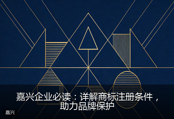 嘉兴企业必读：详解商标注册条件，助力品牌保护