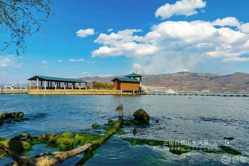 减肥茶排行榜前10名 (十大瘦身品牌排行榜)